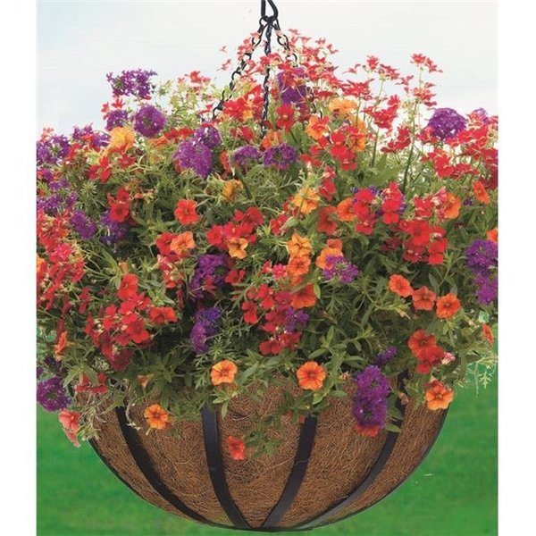 Woodstream Corporation Woodstream HPF14-B 14 Inch English Flatwire Hanging Basket HPF14-B